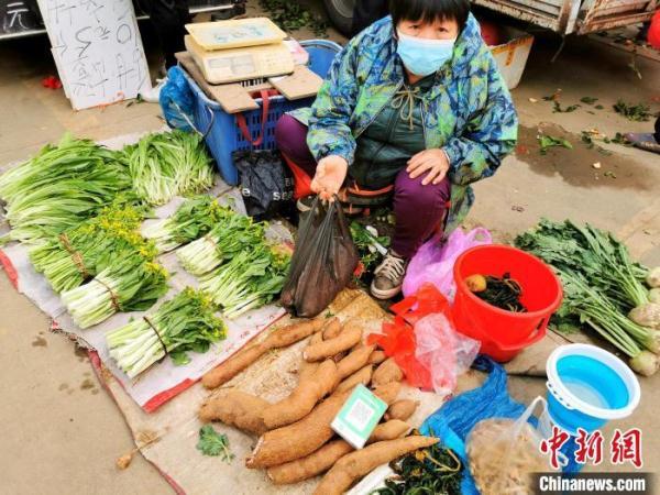 木薯淀粉市场喜讯：最新优质报价呈升势