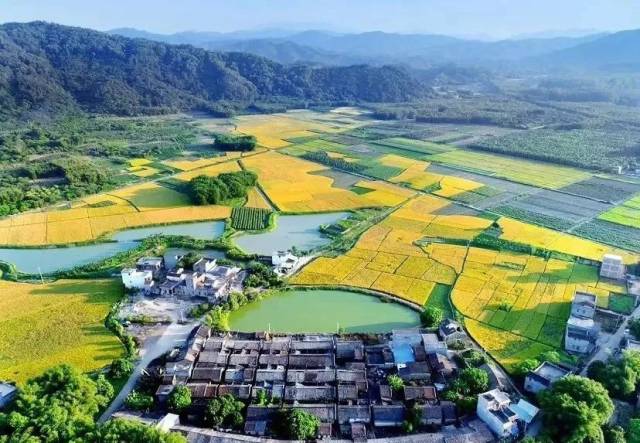 “普宁乡村土地焕新喜讯，美好前景共期待”