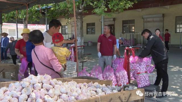 邳州大蒜市场价格动态