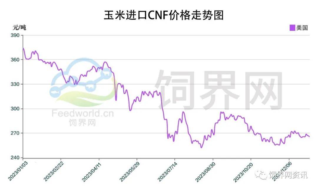 全国玉米市场最新行情速递