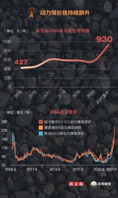 最新煤炭价格动态速递