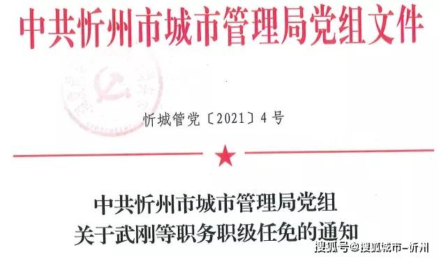 阜阳才女赵丹惊艳亮相，揭秘其最新职务任命动态