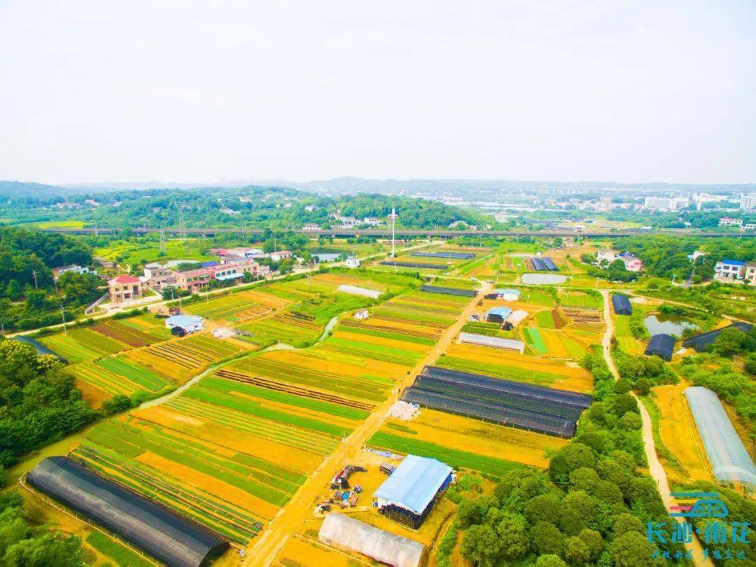 长沙雨花区跳马镇最新动态速览