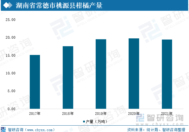 最新柑橘市场动态解析