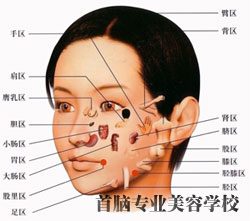 2025年度失禁性皮炎专业护理策略与实操指南