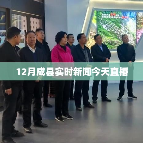 成州网·成县实时资讯速递 ｜ 最新动态一网打尽