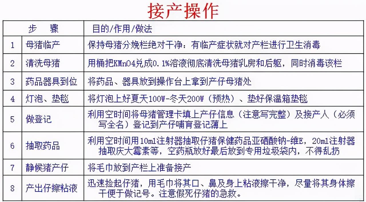 全面升级版母猪免疫规划时间表：全新免疫策略，保障养殖健康