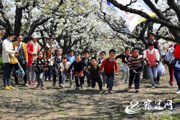 宿迁地区58同城最新职位速递，热招岗位一览无遗